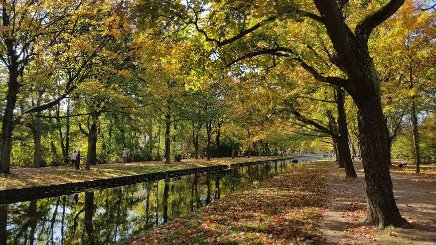 Stadt-Waldwanderung vom Achener Weiher zum Geißbockheim
