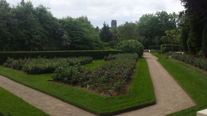 Stadtwanderung: Wo die Rosen blühen
