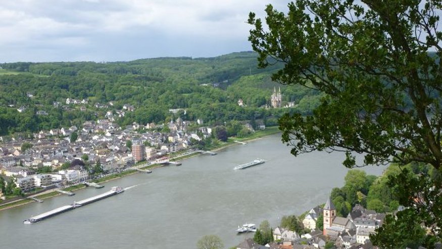 Wanderung von Rhens nach Koblenz | Freizeitnetzwerk
