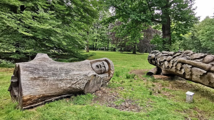 Stadt-Wald-Wanderung von Flittard nach Mülheim