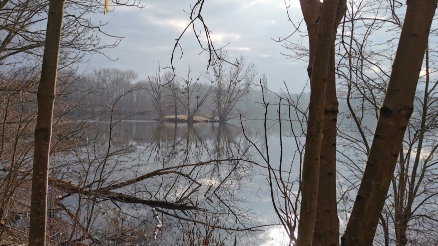 Wanderung entlang der Mündung der Sieg bis nach Bonn bzw. Hersel