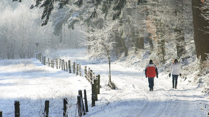 Wanderung durch das Kupfersiefertal zur Gammersbacher Mühle