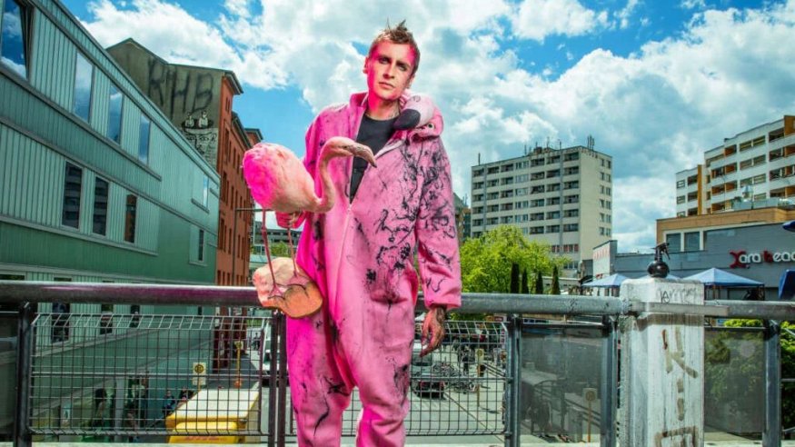 Till Reiners "Flamingos am Kotti"