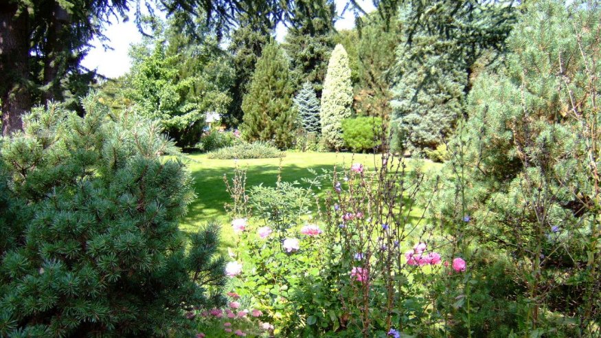 Führung durch das Arboretum Park Härle in Bonn
