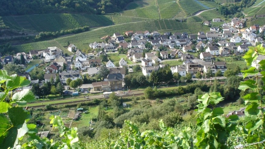 Wanderung auf dem Rotweinwanderweg im Ahrtal