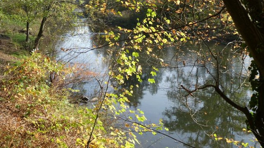 Stadt-Waldwanderung an der Forsbacher Mühle
