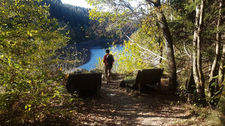 Wanderung um den Mühlensee bei Mechernich (Voreifel)