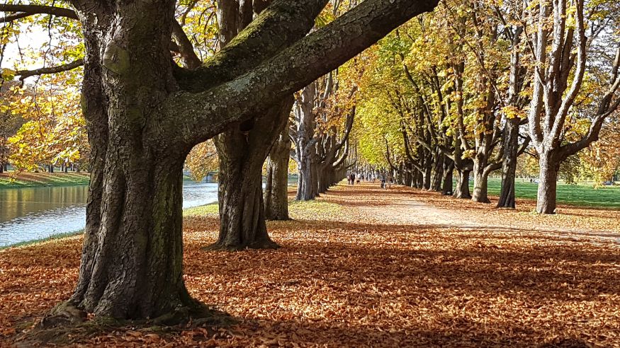 Spaziergang um den Decksteiner Weiher