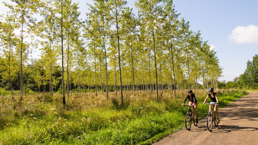 Fahrradtour im Königsforst und durch die Wahner Heide