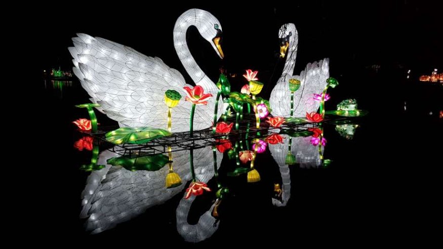 China Light-Festival im Kölner Zoo