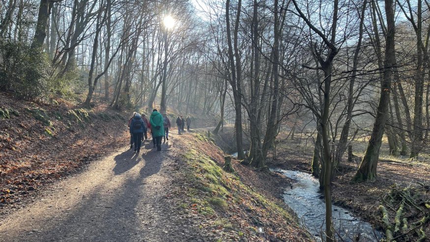 Stadt-Wald-Wanderung  von Kleineichen zum Alten Wehr