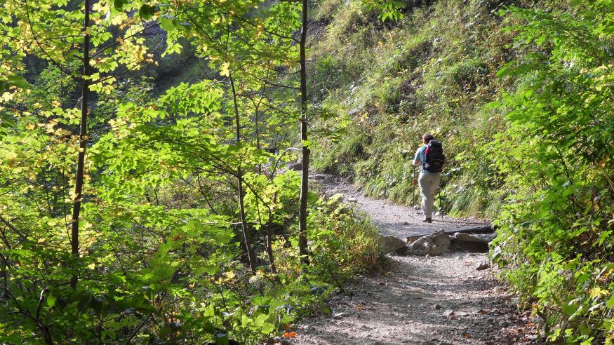 Wanderung von Langerwehe zur Laufenburg und Schloss Merode