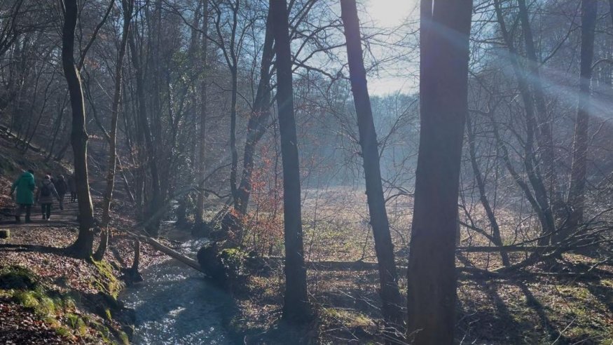 Wanderung bei Nümbrecht entlang der Bröl und zu Schloss Homburg