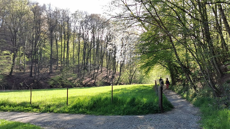 Schlendern und Schlemmern: Gemütlicher Wandersonntag am Stausee in Wuppertal-Beyenburg