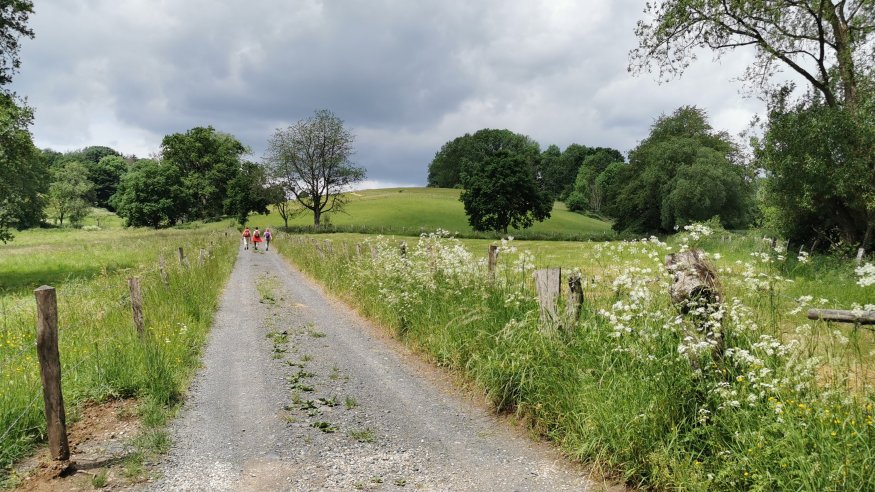 Stadt-Waldwanderung zu Streuobstwiesen bei Bornheim
