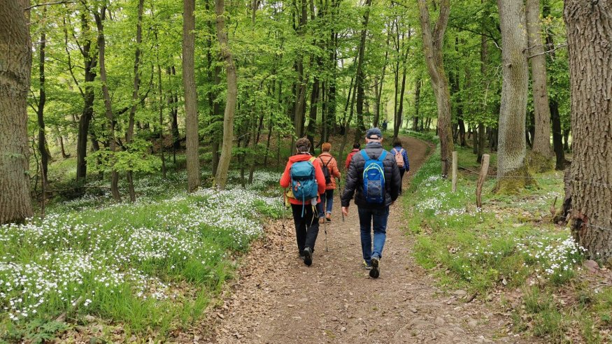 Wanderung um den Stausee Obermaubach