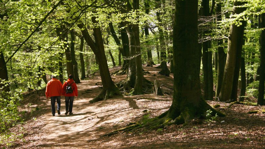 Wanderung auf dem Kulturlandweg bei Hennef