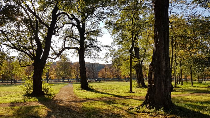 Stadt-Wald-Wanderung durch den Landschaftspark Belvedere
