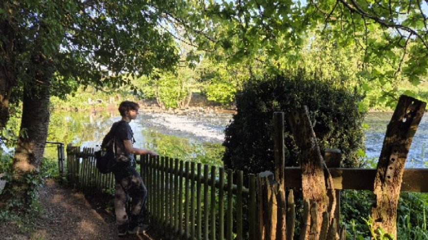 Schlendern und Schlemmern: Gemütlicher Wandersonntag links und rechts der Wupper bei Rüden