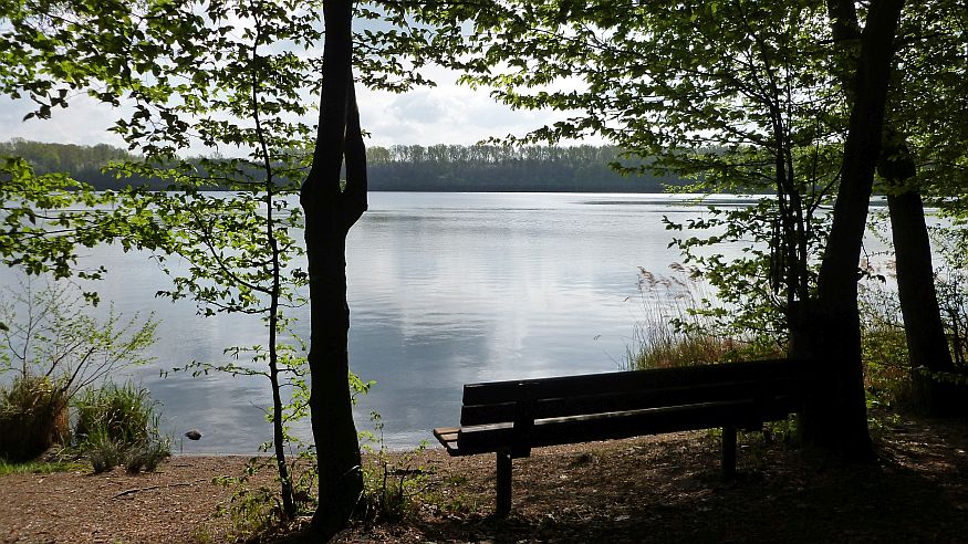 Schlendern und Schlemmern: Gemütlicher Wandersonntag im Eller Forst und am Unterbacher See