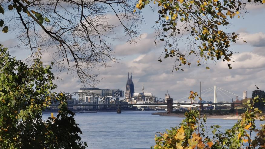 Schlendern und Schlemmern: Gemütlicher Wandersonntag auf dem Kölnpfad von Niehl am Rhein entlang