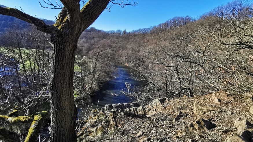 Wanderung auf dem Rur-Uferweg zu Schloss Burgau