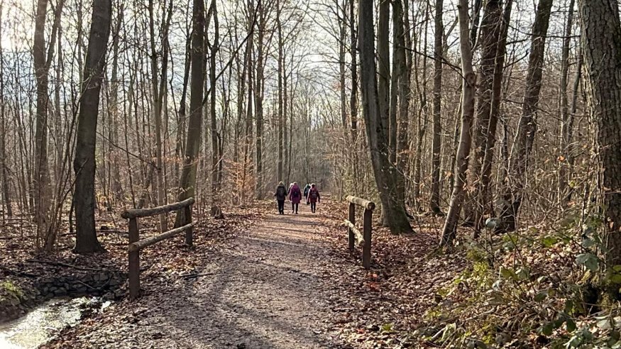 Schlendern und Schlemmern: Gemütlicher Wandersonntag an der Strunde bei Bergisch Gladbach