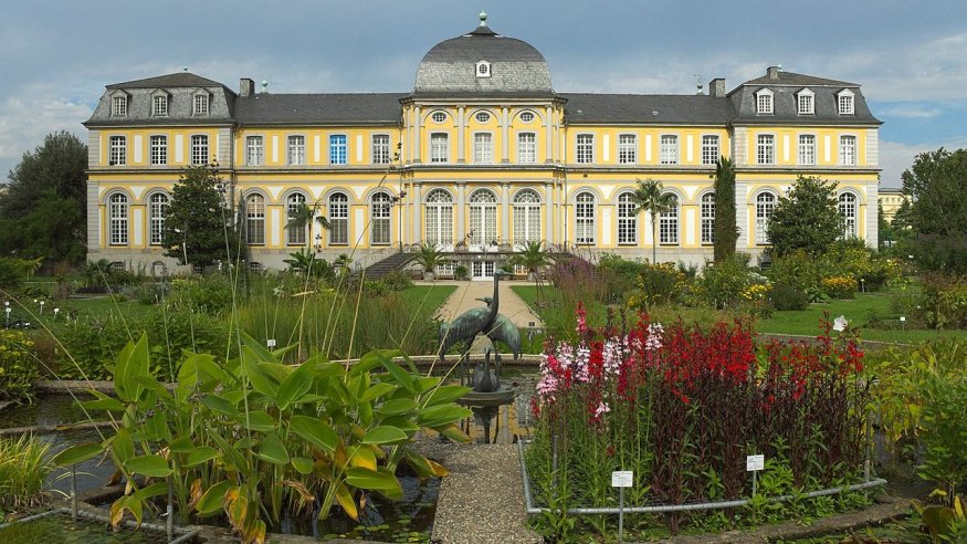 Stadt-Waldwanderung  im Bonner Frühling