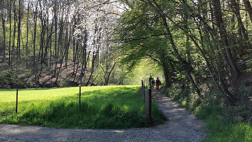 Wanderung durch das romantische Düsseltal
