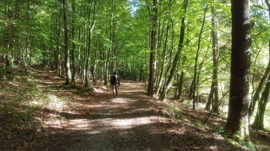 Wanderung zur Burg Laufenburg