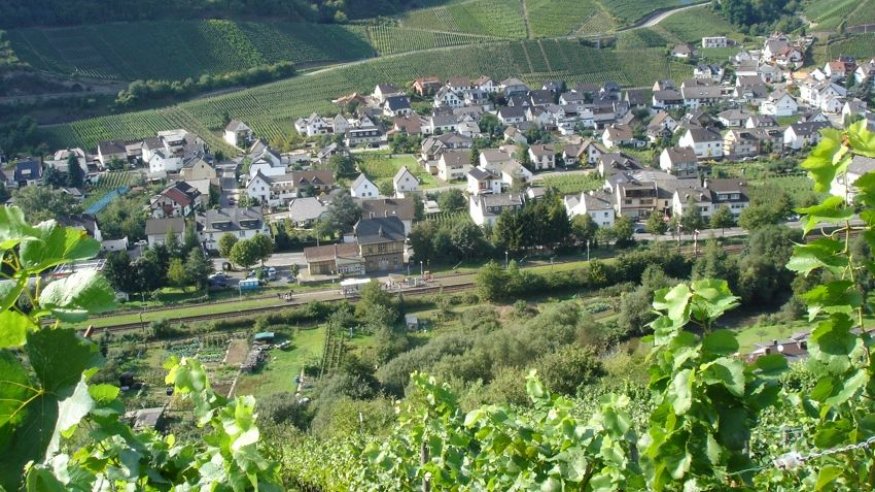 Schlendern und Schlemmern: Wanderung von Mayschoß nach Walporzheim