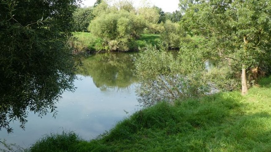 Wanderung durch die Hennefer Siegauen zum Dondorfer See