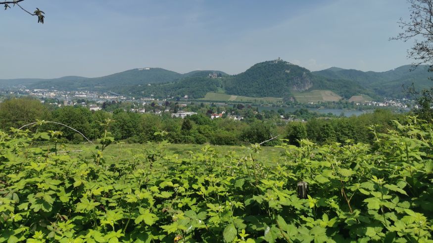 Schlendern und Schlemmern - Gemütlicher Wandersonntag: Von Roisdorf Blicke über die Rheinebene