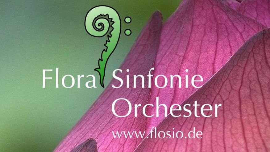 Open Air: Flora Sinfonie Orchester im Altenberger Hof