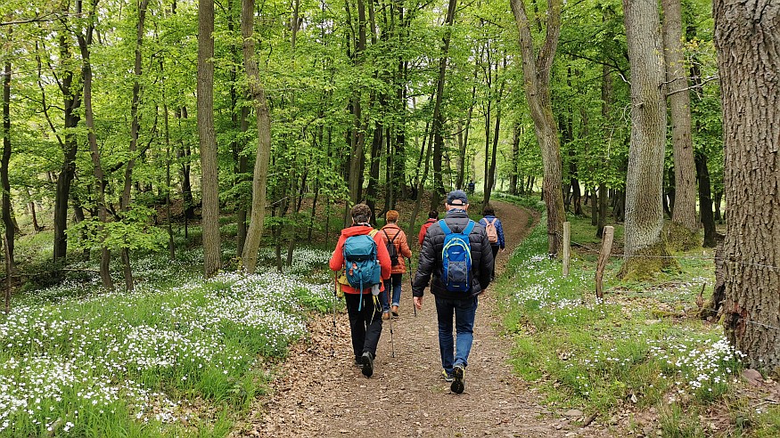 Wanderung auf dem Pinchenpfad rund um Kall