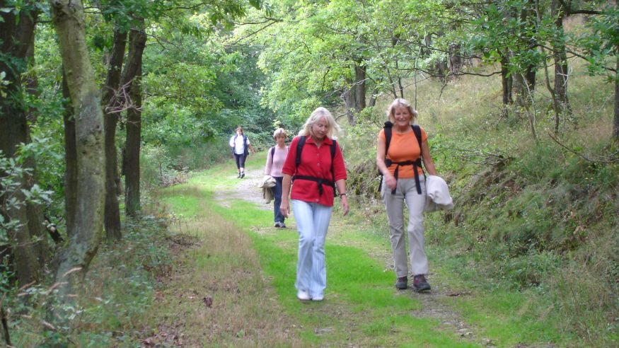 Wanderung auf dem Bierweg mit Panoramablick
