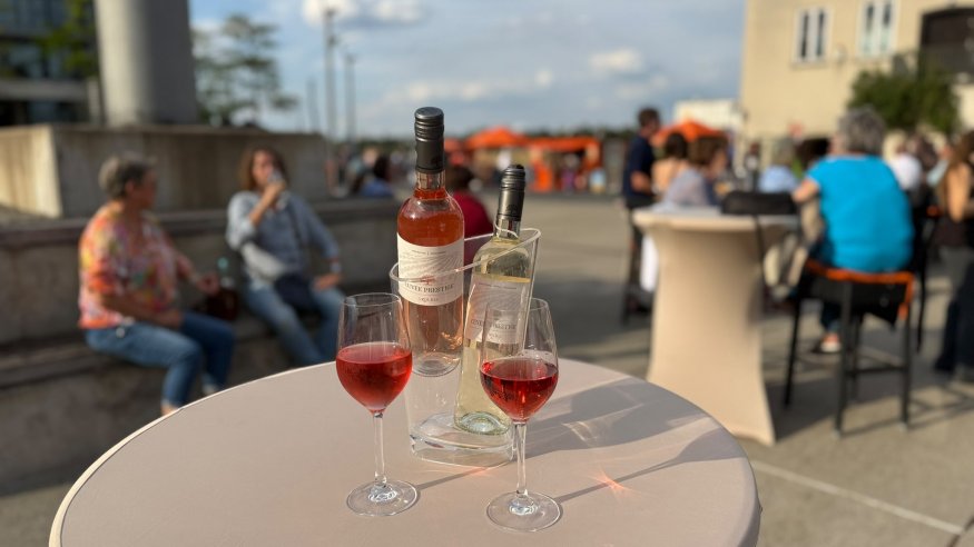 Sundowner im Rheinauhafen
