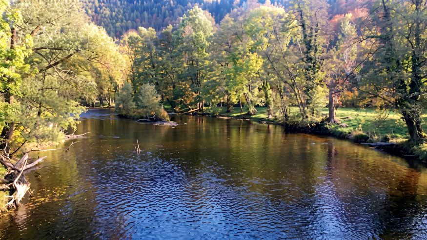 Wanderung um den Stausee Obermaubach