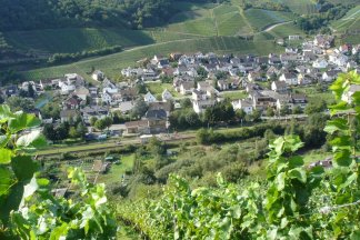 Wanderung auf dem Rotweinwanderweg von Ahrweiler nach Dernau