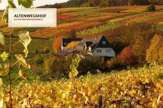 Wanderung auf dem Rotweinwanderweg im Ahrtal