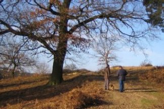 Wanderung für Karnevalsflüchtlinge in der südlichen Wahner Heide