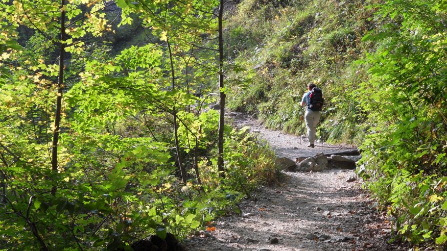 Wanderung entlang der Sieg vom Wolsdorfer Brocken zum Gasthof Sieglinde