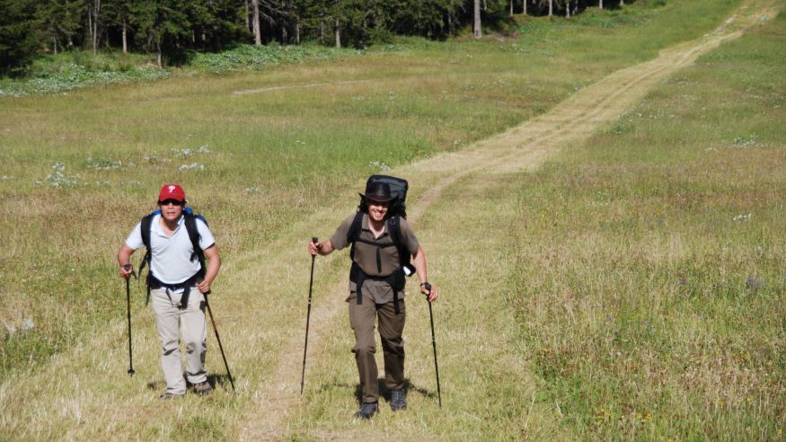 Wanderung von Hochdahl-Millrath zum Wisent- und Auerochsgehege im Neandertal