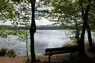 Ville-Seenwanderung im Naturpark Rheinland