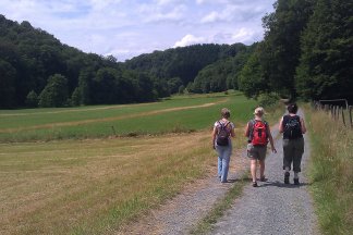 Zu Gast bei Auerochs und Wisent - Wanderung bei Millrath-Ost (Erkrath)
