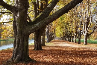 Wanderung von Klettenberg nach Rodenkirchen