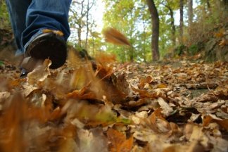 Wanderung von Oberdollendorf nach Königswinter