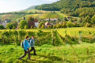 Genuss- und Wanderwoche in der Pfalz