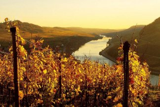 5 Tage Wandern und Erholung an der oberen Mosel