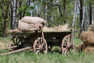 Wanderung auf dem Fuhrmannsweg bei Marienheide